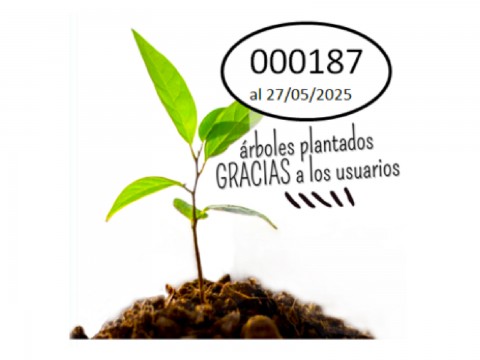 PRODUCTOS MP = ÁRBOLES PLANTADOS 🌱
