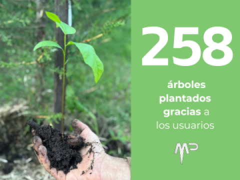 PRODUCTOS MP = ÁRBOLES PLANTADOS 🌱