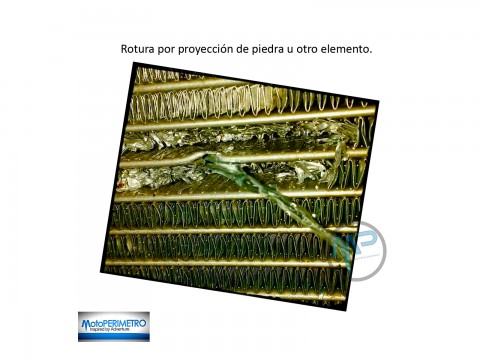 Motoperimetro 4956 Protector de Panel Radiador Rejilla Cubre Radiator MotoMorini X-Cape 700